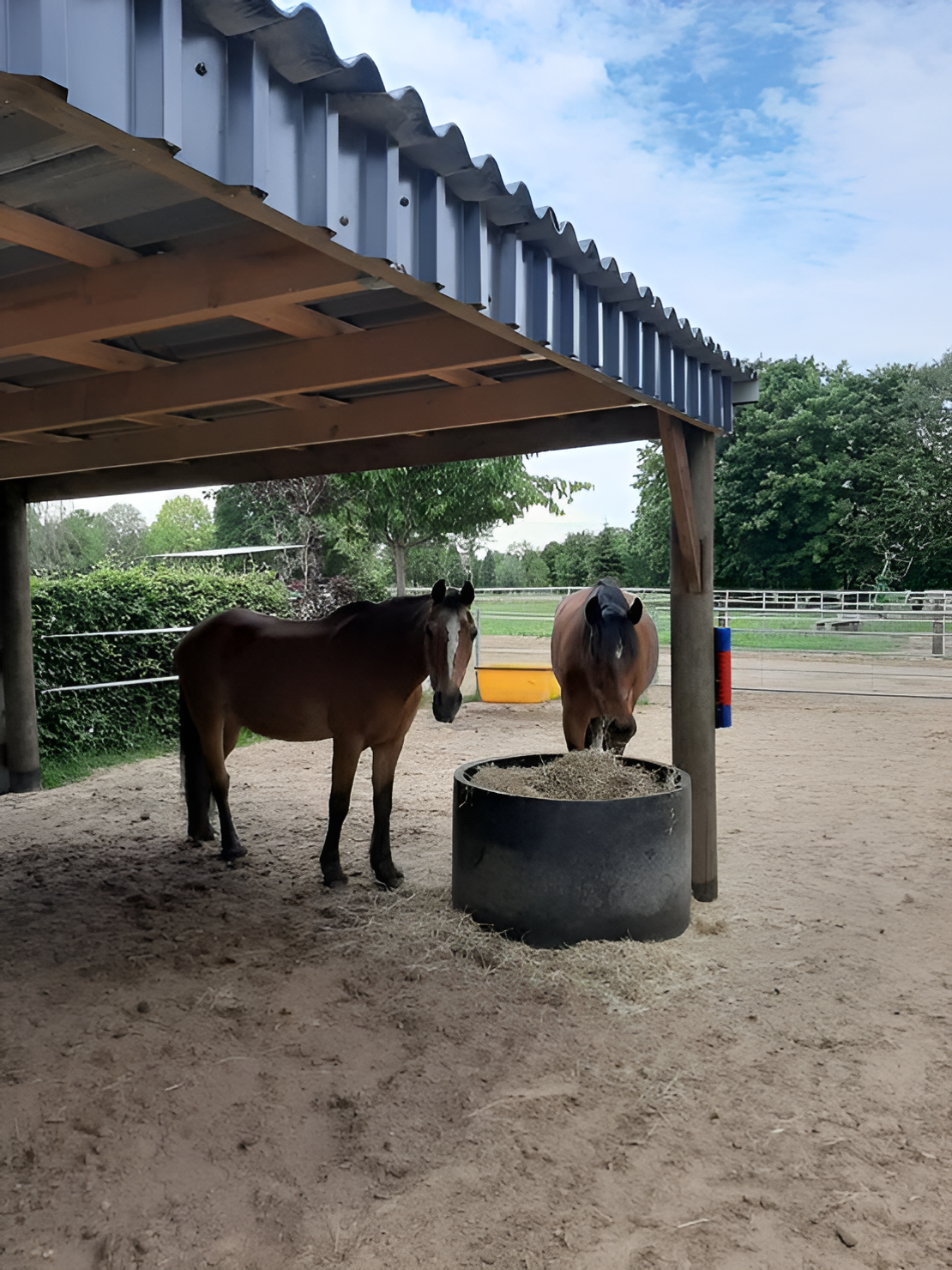 Stallansicht